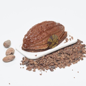 Cabosse du Cameroun