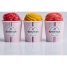 Petit pot de sorbet Framboise du Morbihan (110 ml)