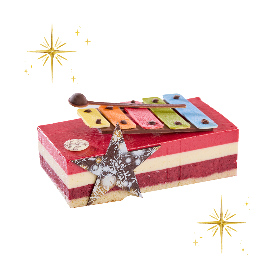 Bûche Glacée Mon xylophone (sans sucres ajoutés/gluten/lactose)