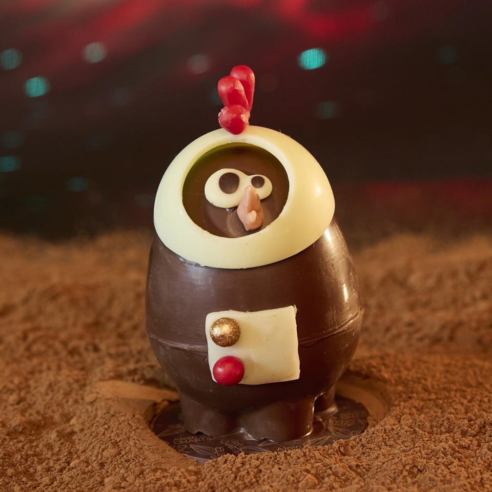 Petite poule cosmonaute